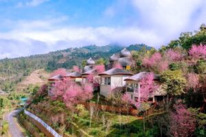 GARRYA Mù Cang Chải hòa mình giữa thiên nhiên Tây Bắc