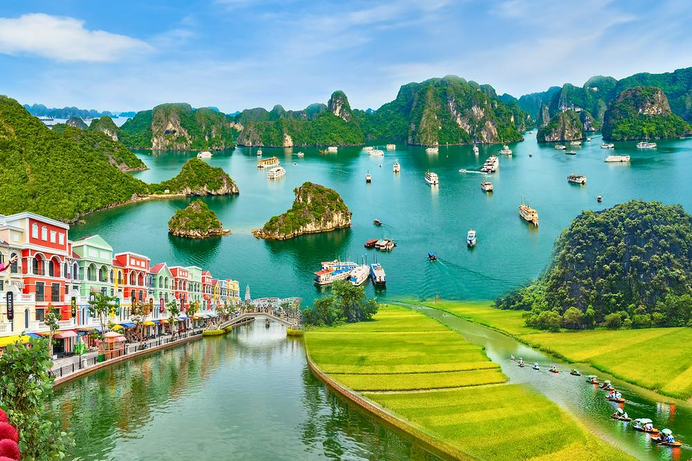 Tour du lịch miền Bắc phong phú trải nghiệm, từ di sản, vịnh biển đến trekking núi rừng